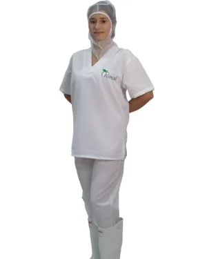 Uniforme Cuello V en Popelina Nacional