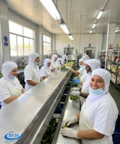 Cofia de tela capucha abierto Blanco - Fabrica de alimentos 1